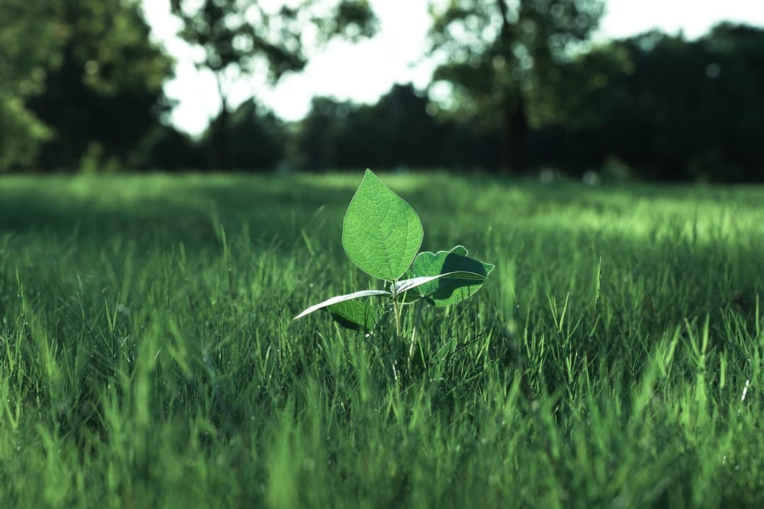 5 leviers pour rentabiliser votre service client B2B en 2025 — Article Clarendis