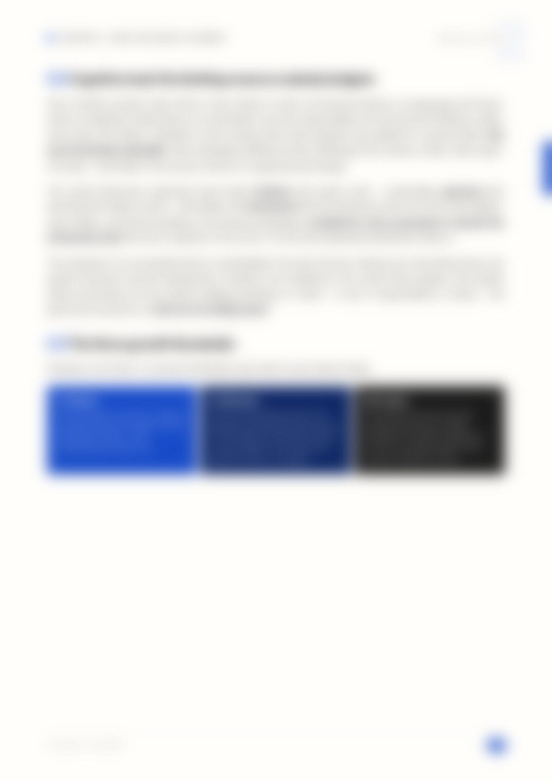 Page 13, blurred — available in the full document