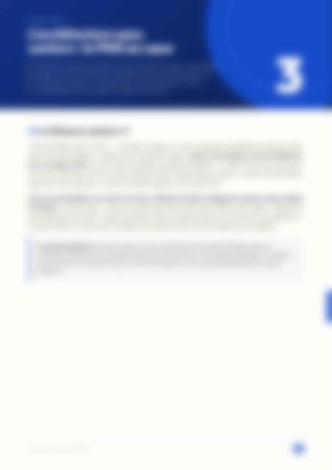 Page 17, floutée — accessible dans le document complet