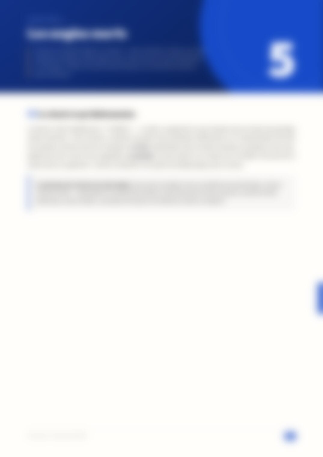 Page 28, floutée — accessible dans le document complet